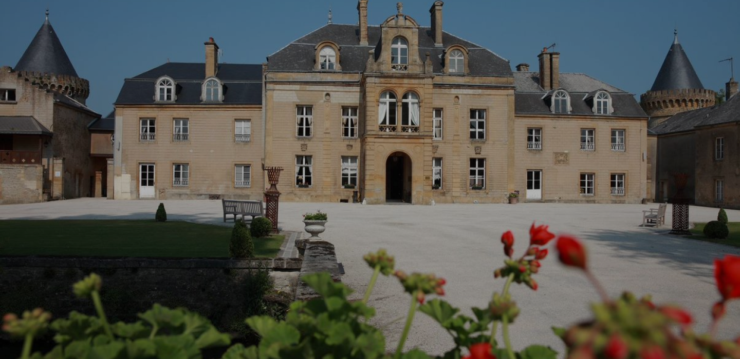 Photo du château du faucon