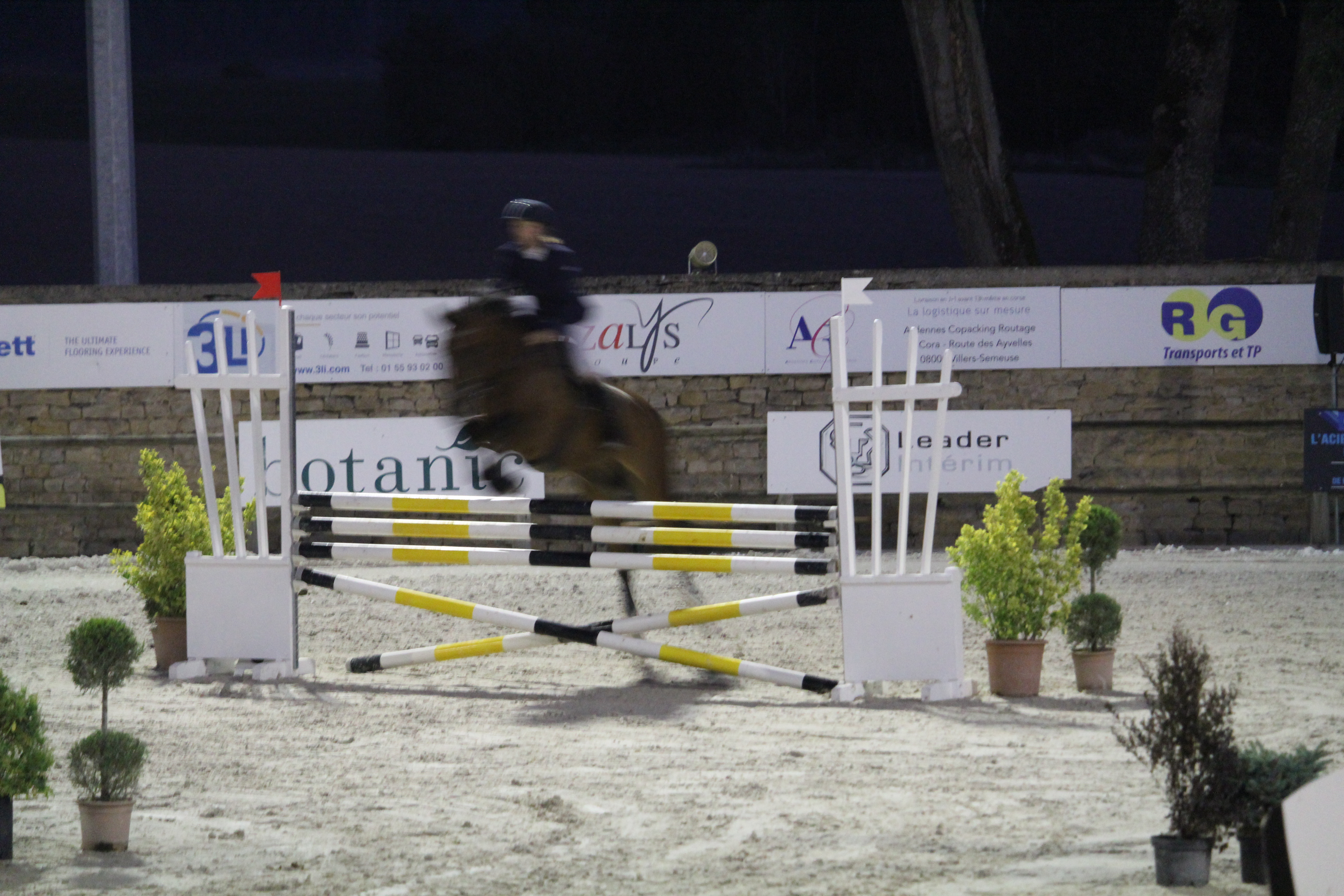 Cavalière et son cheval sautant au dessus d'un obstacle